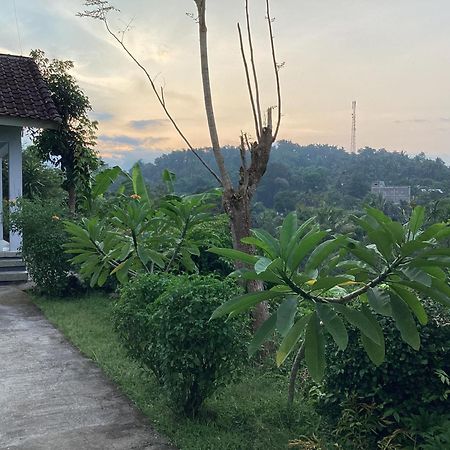 Tommy Homestay Plambi Zewnętrze zdjęcie