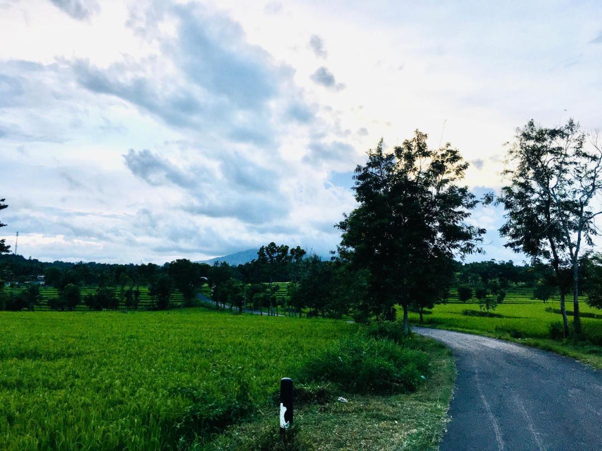 Tommy Homestay Plambi Zewnętrze zdjęcie